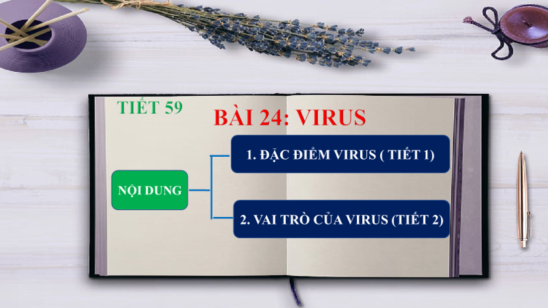 BÀI 5. VIRUS